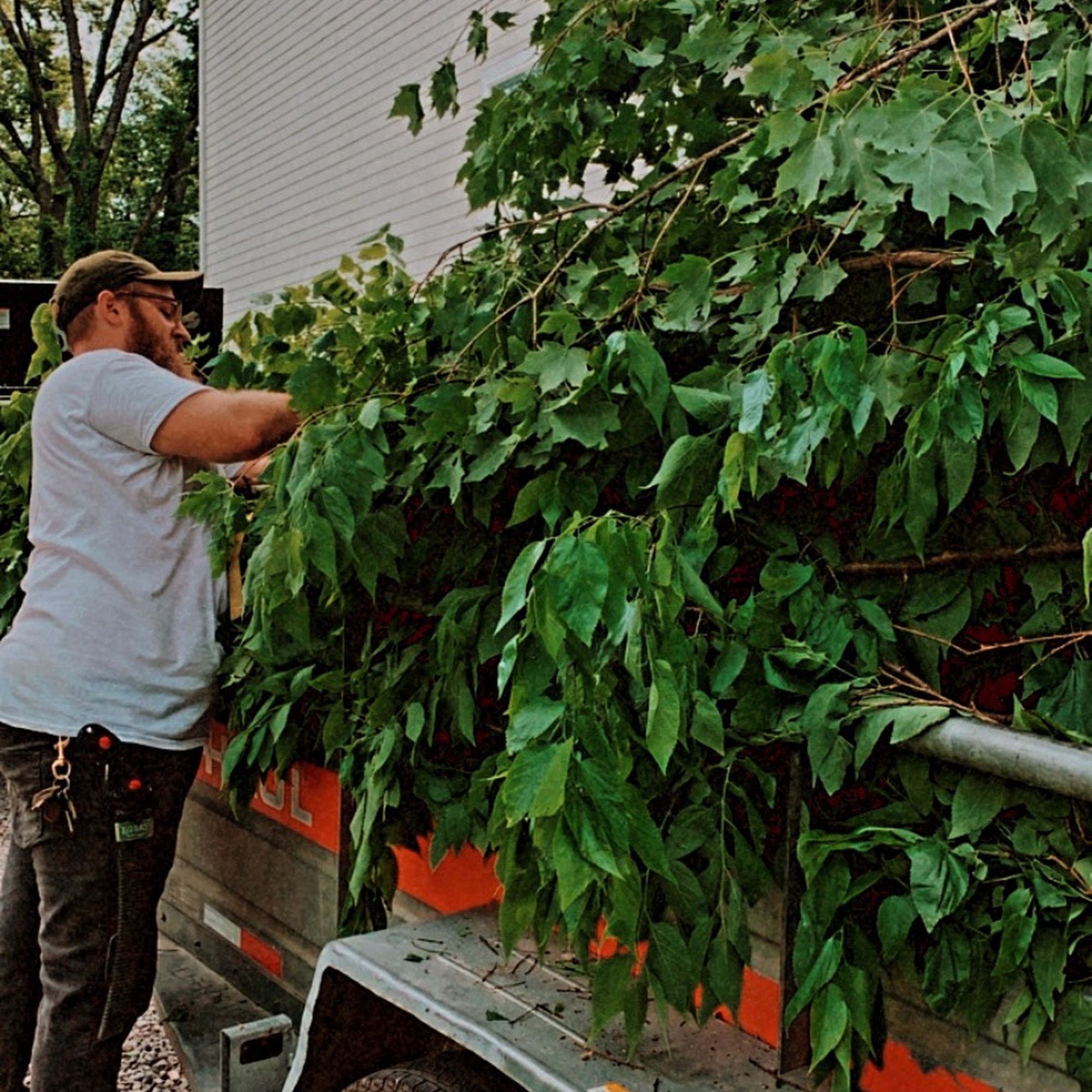Kyle loading cut tree limbs into a work truck in East Nashville