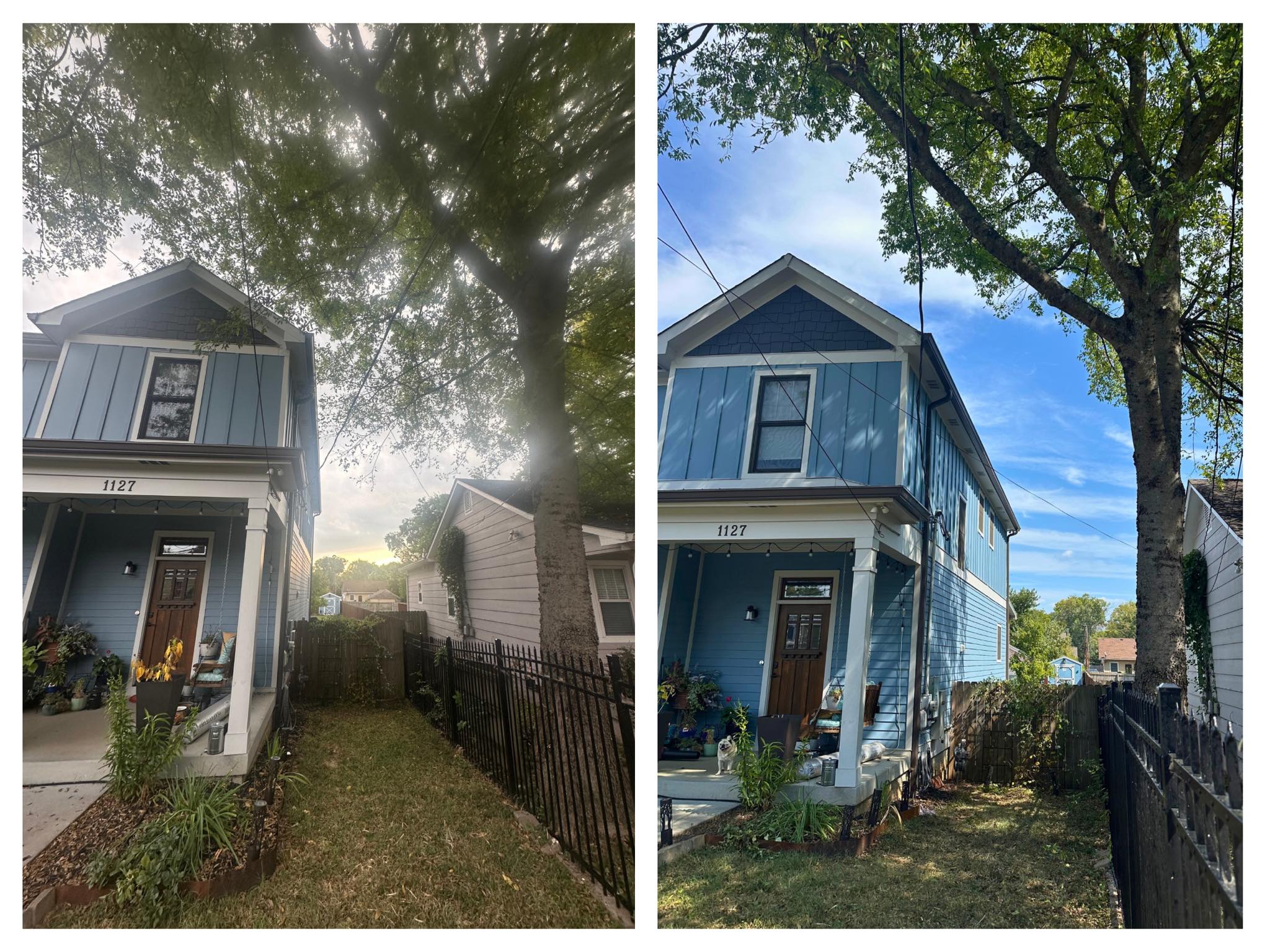 Before and after of a large tree near an East Nashville home